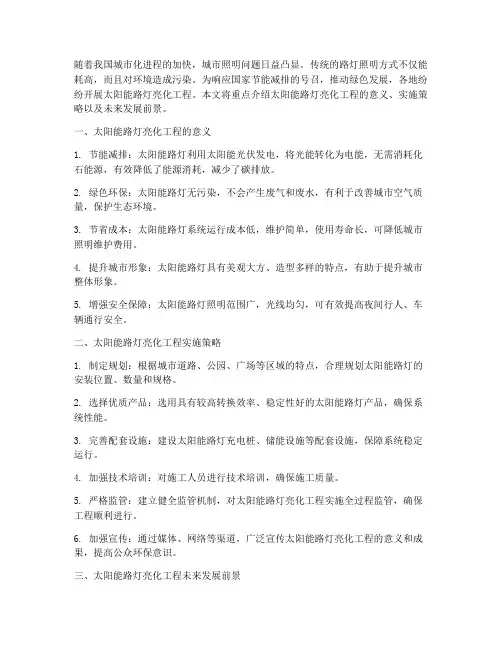 大力太阳能路灯亮化工程