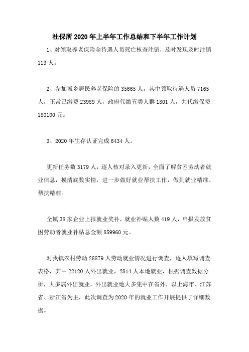 社保所2020年上半年工作总结和下半年工作计划