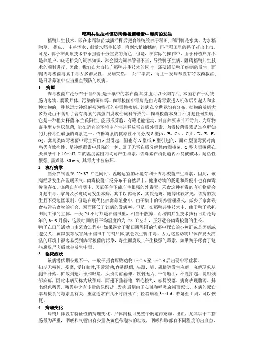 稻鸭共生技术谨防肉毒梭菌毒素中毒病的发生