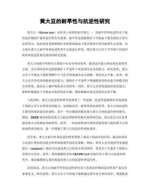 黄大豆的耐旱性与抗逆性研究