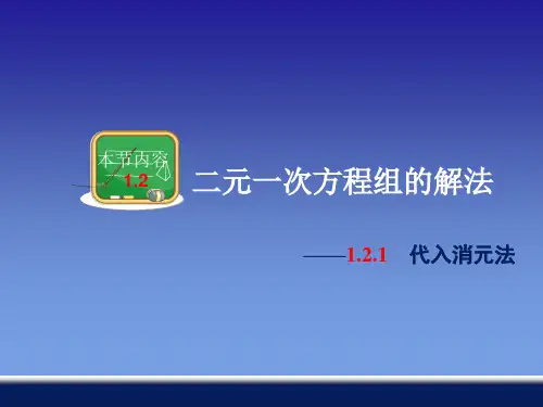 2021年湘教版数学七年级下册第一章《代入消元法》公开课课件2.ppt