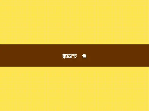 第1章第4节鱼-2021年初中八年级《生物(福建专版)》-配套课件