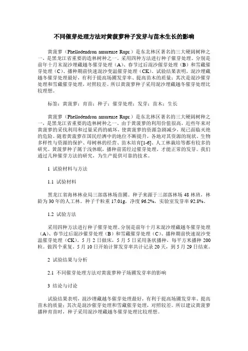 不同催芽处理方法对黄菠萝种子发芽与苗木生长的影响