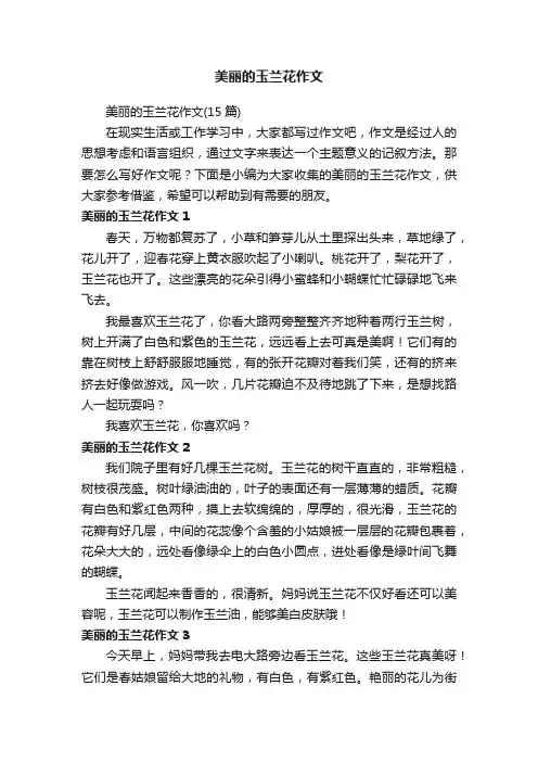 美丽的玉兰花作文（15篇）