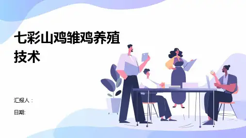 七彩山鸡雏鸡养殖技术