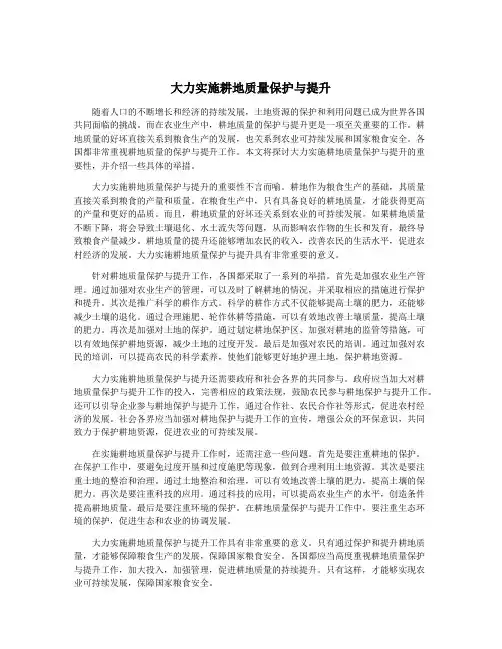 大力实施耕地质量保护与提升