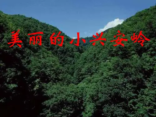 《美丽的小兴安岭》ppt课件