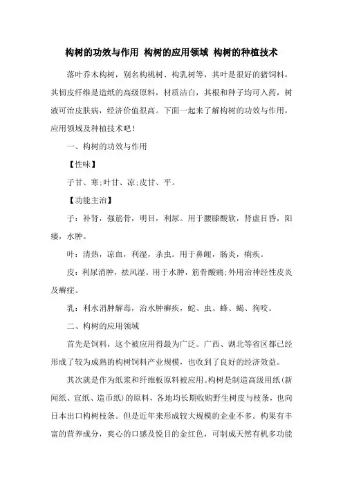 构树的功效与作用 构树的应用领域 构树的种植技术