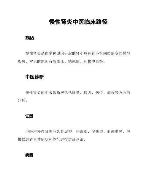 慢性肾炎中医临床路径