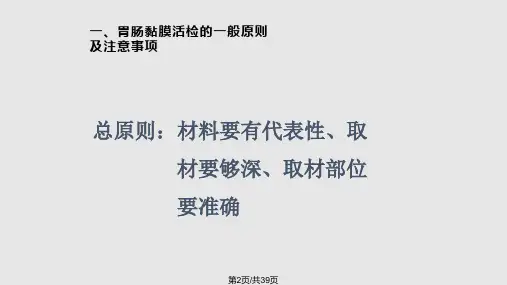 胃粘膜活检病理