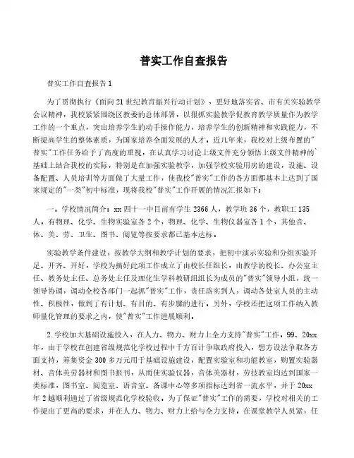 普实工作自查报告