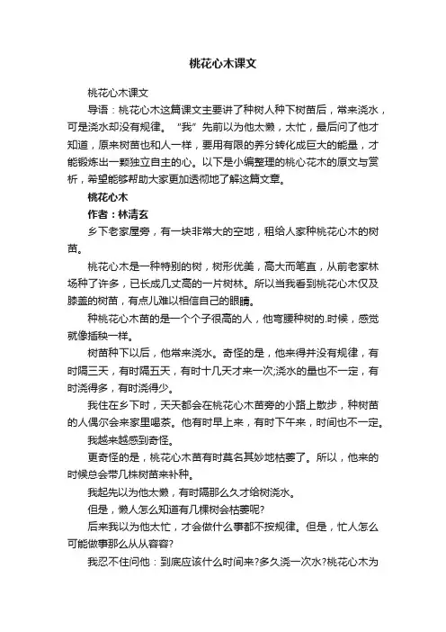 桃花心木课文