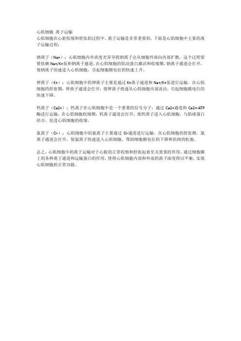 心肌细胞 离子运输