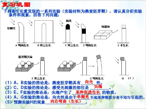 生长素的生理作用PPT-PPT精美课件