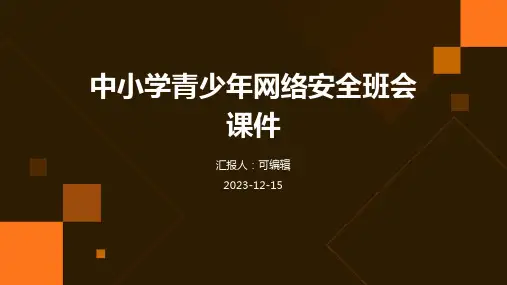 中小学青少年网络安全班会课件ppt