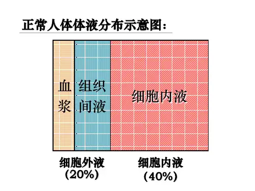 正常人体体液分布图