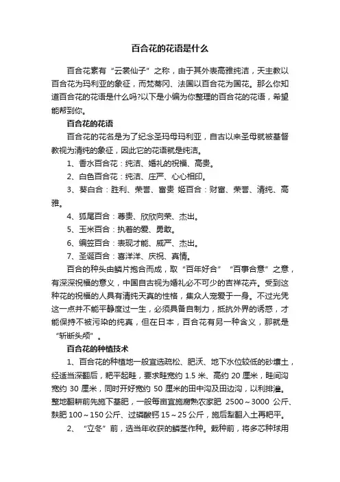 百合花的花语是什么