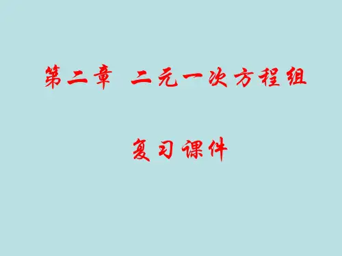 七年级数学下册：第二章二元一次方程组复习课件(湘教版)