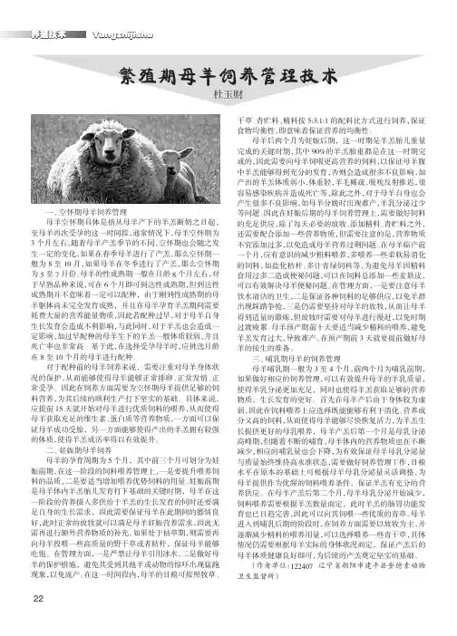 繁殖期母羊饲养管理技术