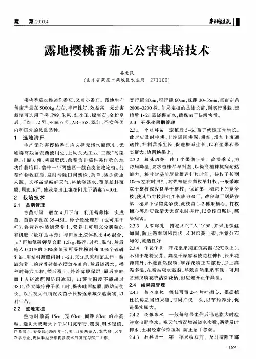 露地樱桃番茄无公害栽培技术