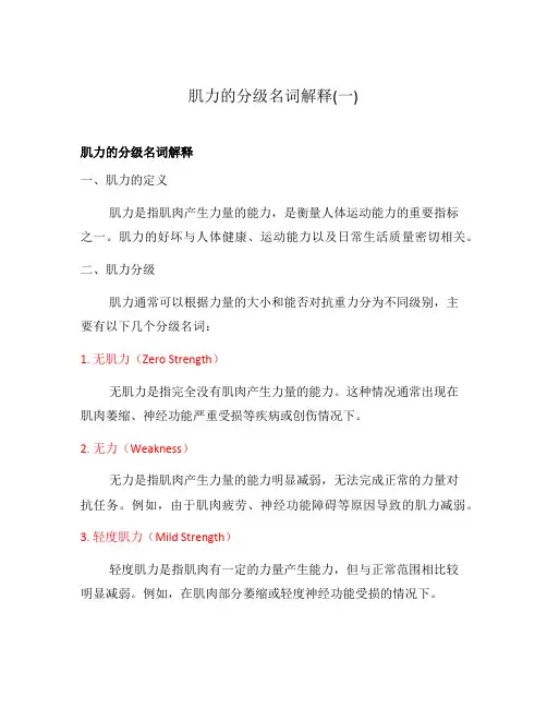 肌力的分级名词解释(一)