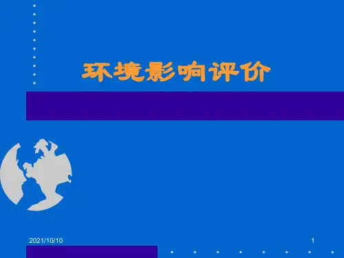 环境影响评估报告流程
