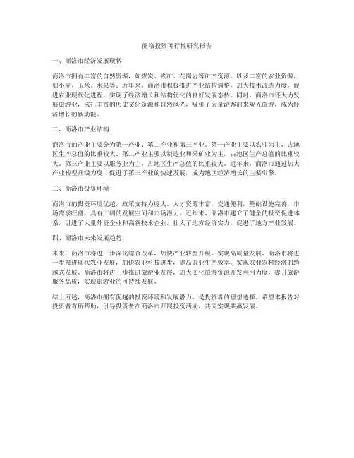 商洛投资可行性研究报告