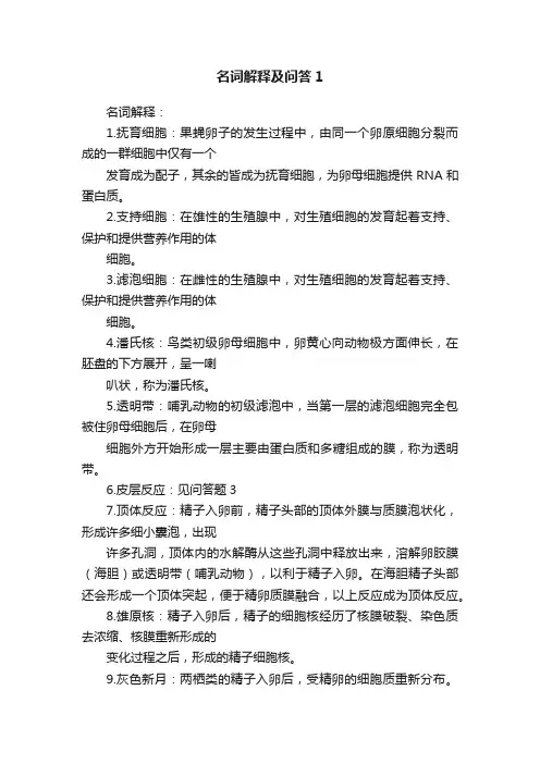 名词解释及问答1