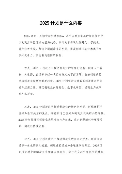 2025计划是什么内容