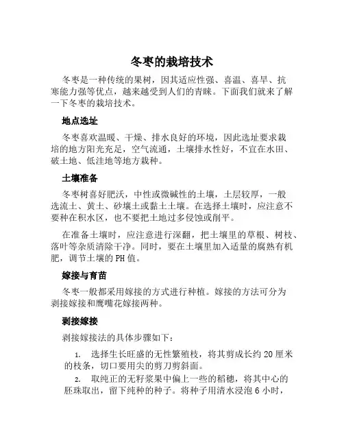 冬枣的栽培技术