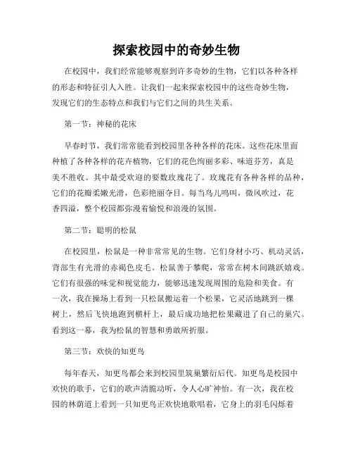 探索校园中的奇妙生物