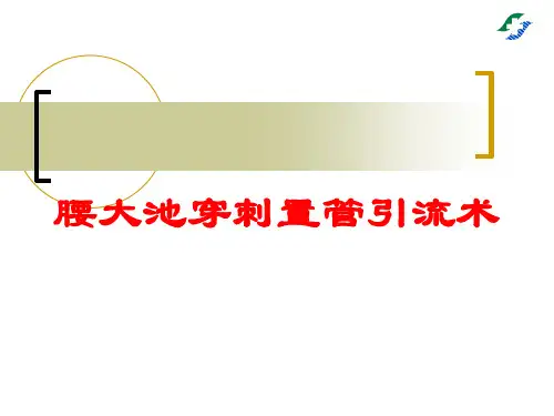 腰大池穿刺置管引流术培训课件