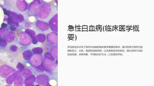 急性白血病(临床医学概要)