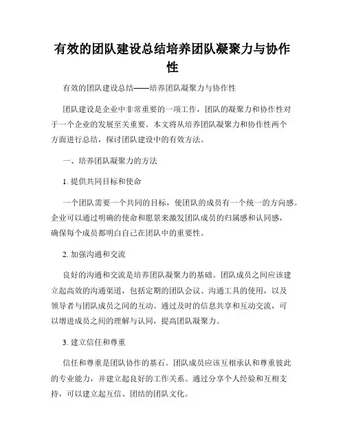 有效的团队建设总结培养团队凝聚力与协作性