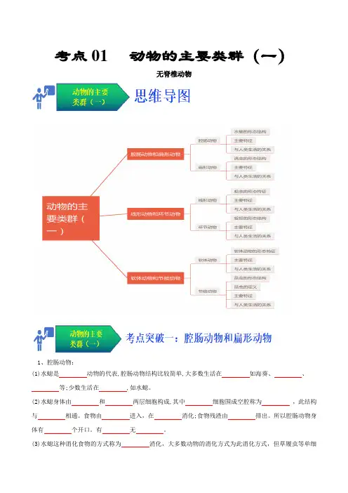 考点01 动物的主要类群(一、无脊椎动物)(人教版)(原卷版)