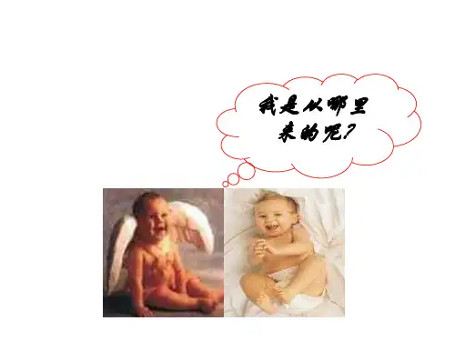 第三章人类的生殖和发育复习