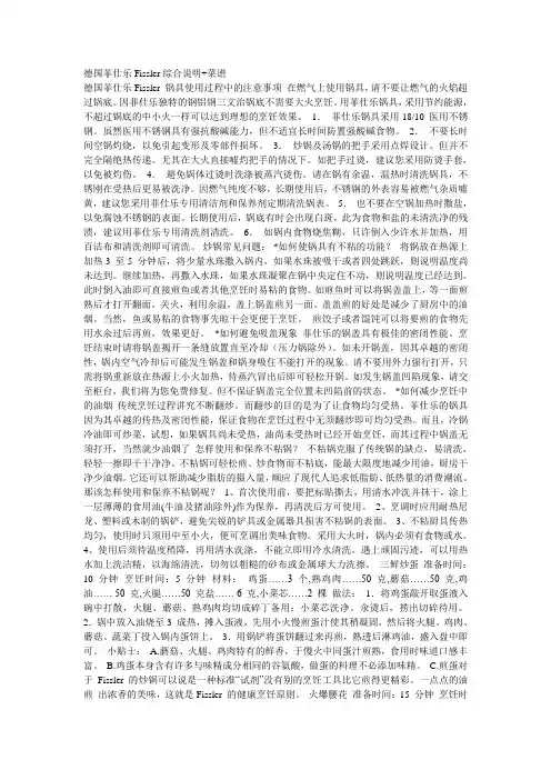 德国菲仕乐Fissler综合说明