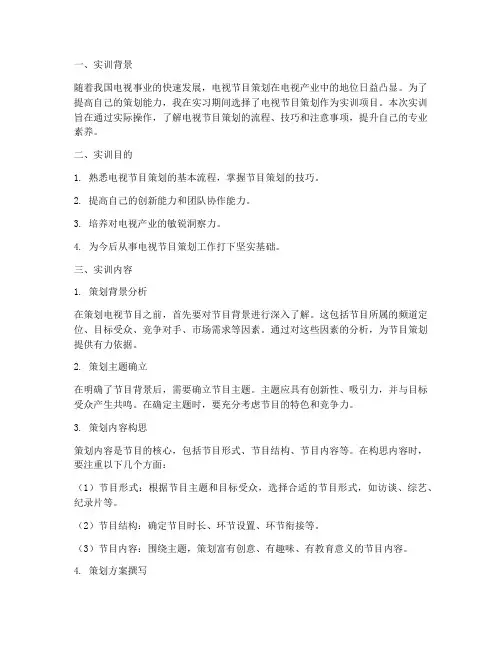 电视节目的策划实训报告