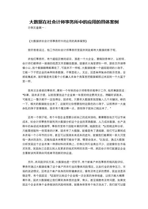 大数据在社会计师事务所中的应用的具体案例