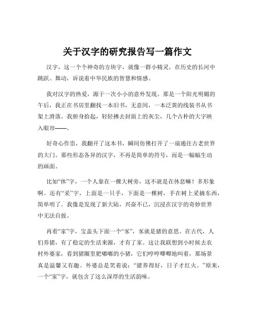关于汉字的研究报告写一篇作文