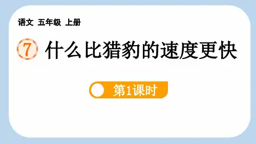 最新统编人教版语文五年级上册《什么比猎豹的速度更快(第1课时)》优质教学课件
