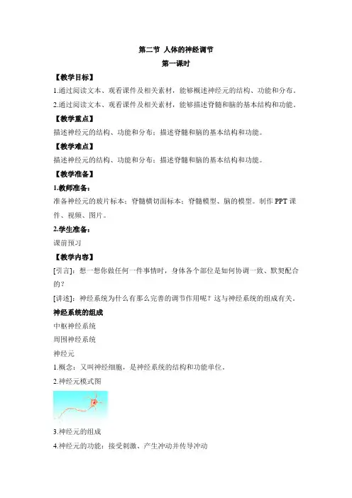 苏教版生物七年级下册《人体的神经调节》第1课时 教案