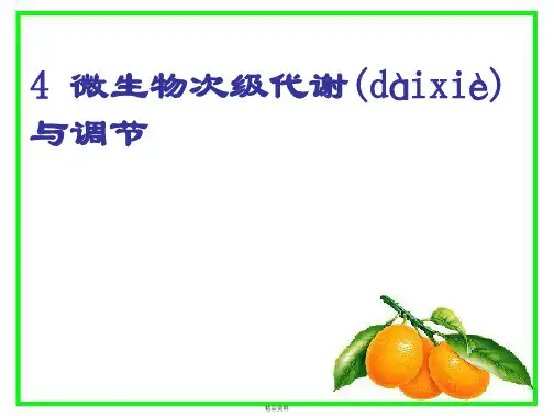 微生物次级代谢讲解