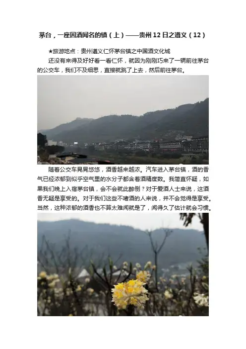 茅台，一座因酒闻名的镇（上）——贵州12日之遵义（12）