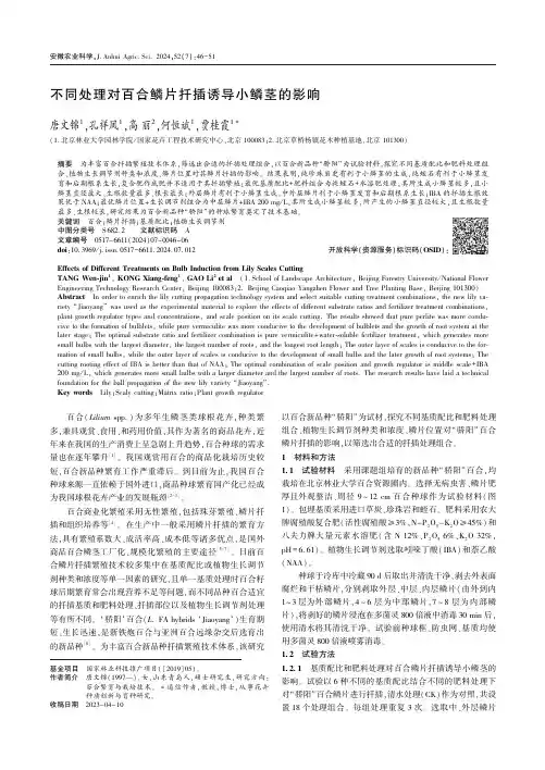 不同处理对百合鳞片扦插诱导小鳞茎的影响