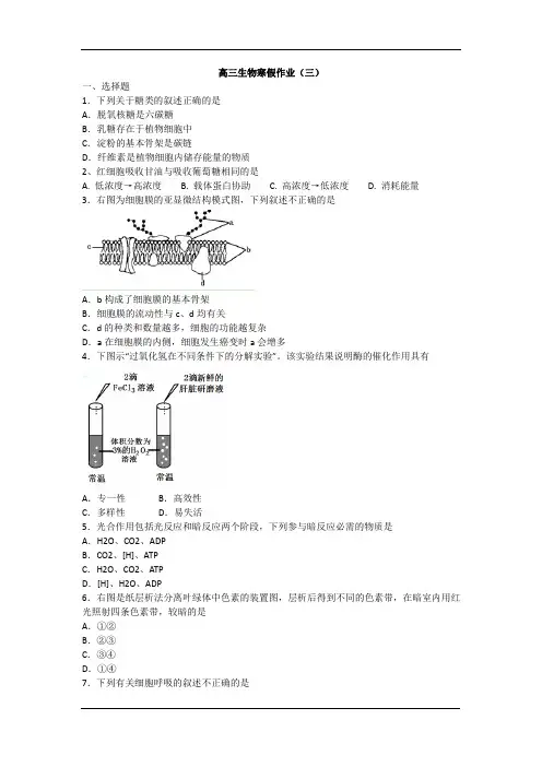 高三生物寒假作业(三)