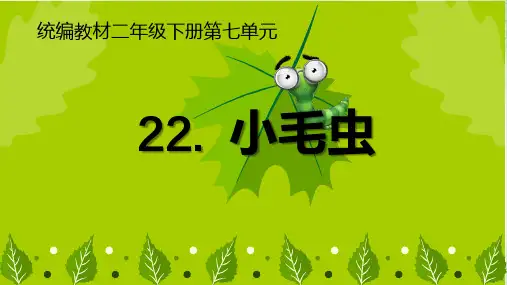 《小毛虫》课件完美版(共17张PPT)