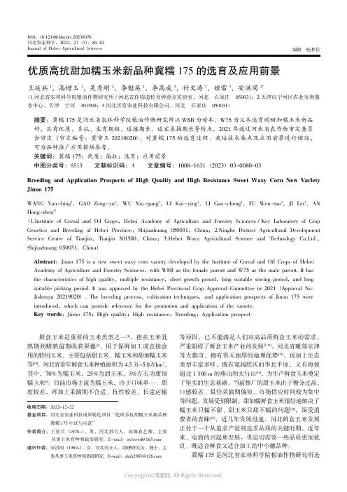 219514013_优质高抗甜加糯玉米新品种冀糯175的选育及应用前景