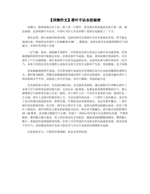 【状物作文】荷叶不沾水的秘密