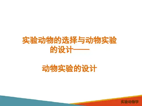 实验动物的选择与动物实验的设计—动物实验的设计